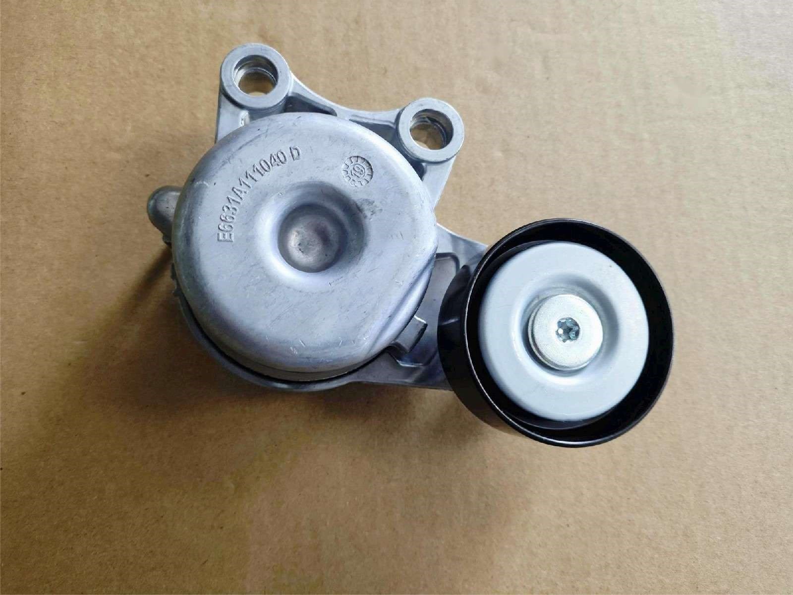 DS010625-Z31C Belt Tensioner