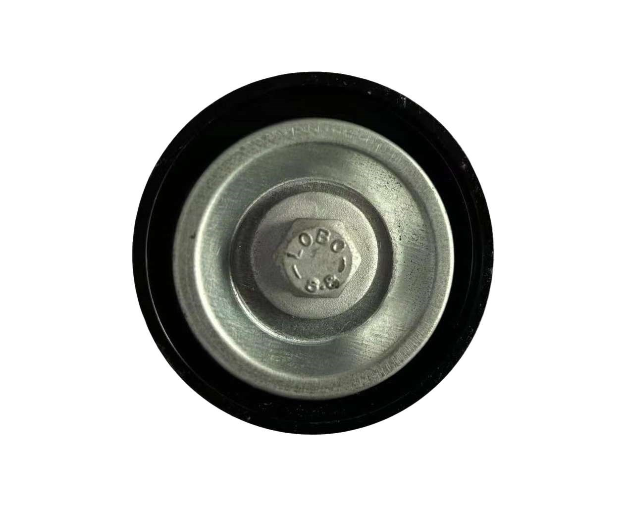 DS020397-C 8200598966 VKM36221 APV3090 532071510 119238248R DACIA  Idler Pulley