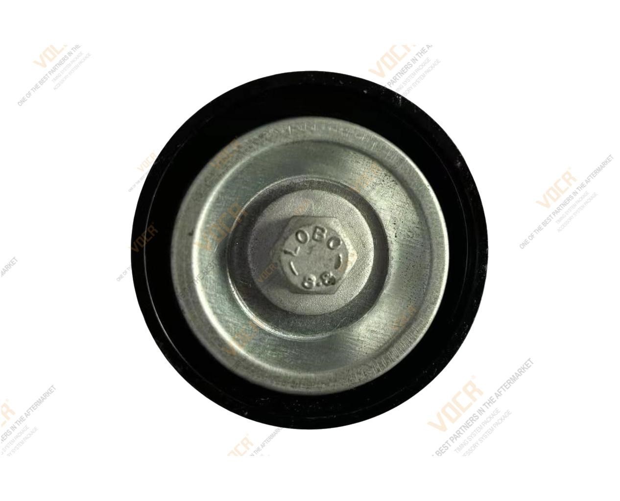 DS020397-C 8200598966 VKM36221 APV3090 532071510 119238248R DACIA  Idler Pulley