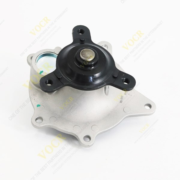 DS060397-Z01B 4781157AC 4781157AB 04781157AA GATES:GWP5513   Water Pump