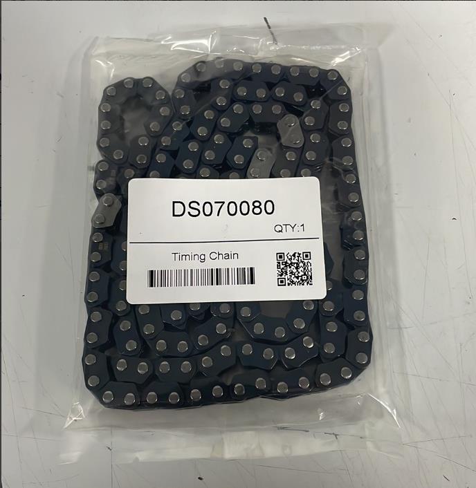 DS070080 DS070080-P01   Timing Chain