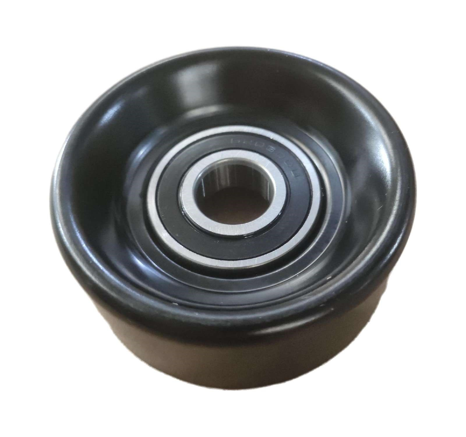 DS020343 CX-3125 89007 FORD USA  Idler Pulley