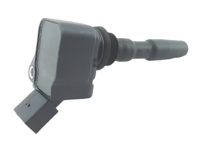 DS120065 AUDI  IgniTion Coil