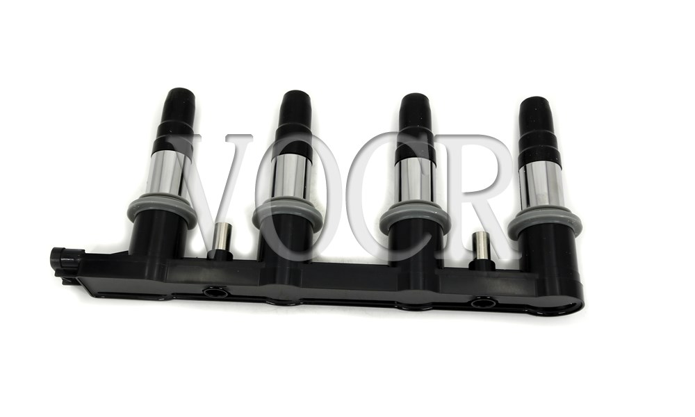 DS120021 55585539无标 CHEVROLET  IgniTion Coil
