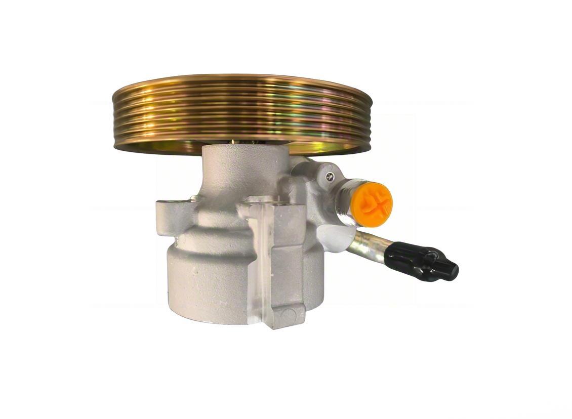 DS131581-B HYUNDAI  Power Steering Pump