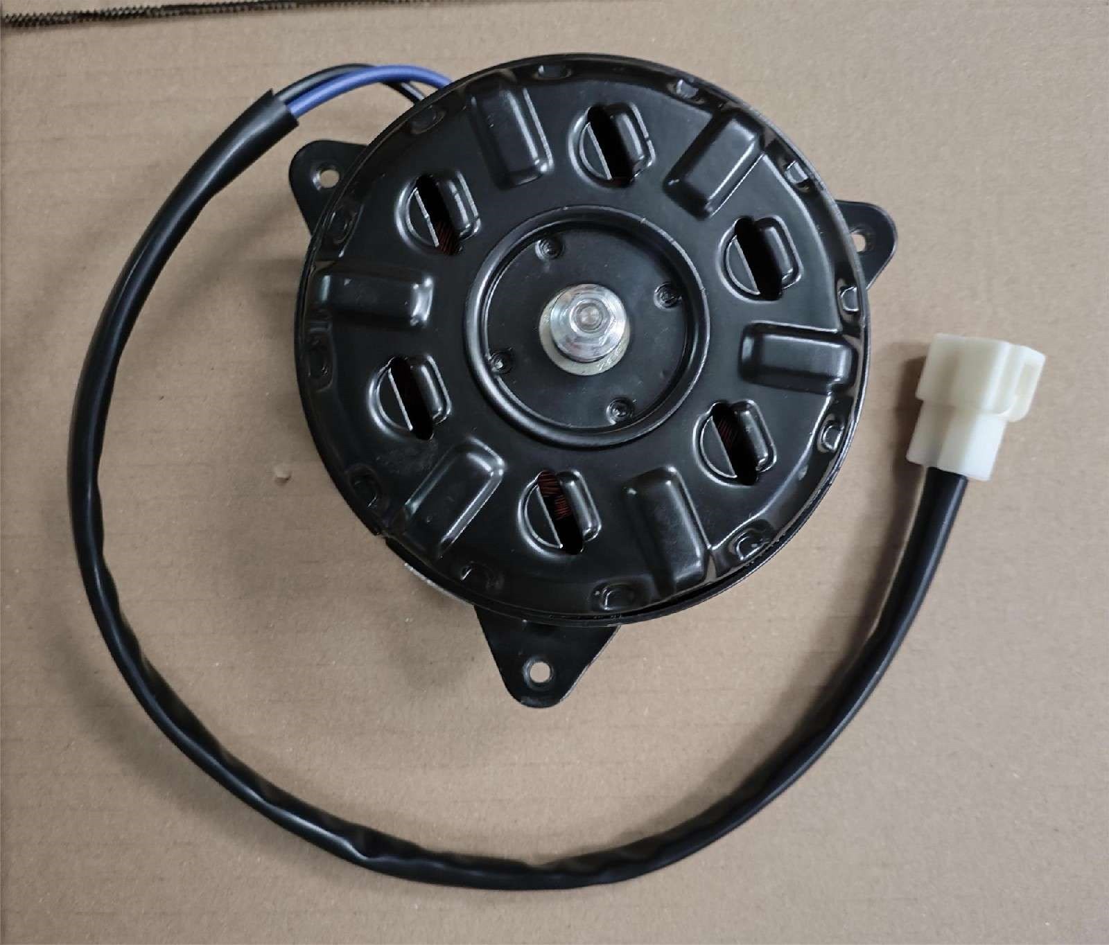 DS061219 Fan Motor