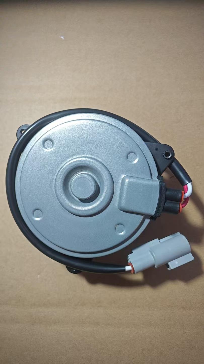 DS060883 Fan Motor