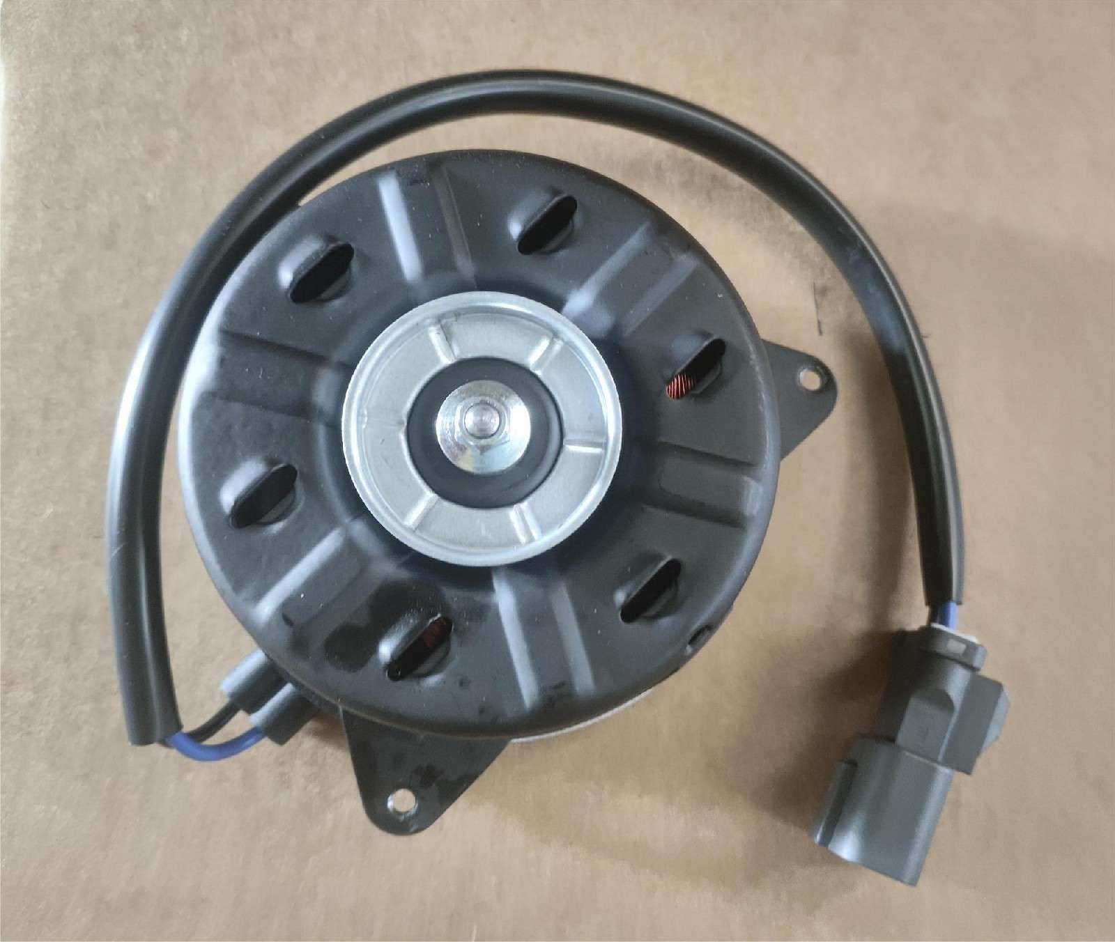 DS061225 Fan Motor
