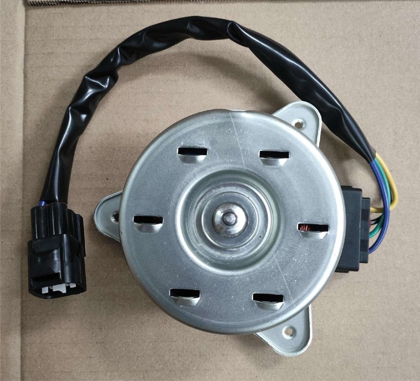 DS061217 Fan Motor