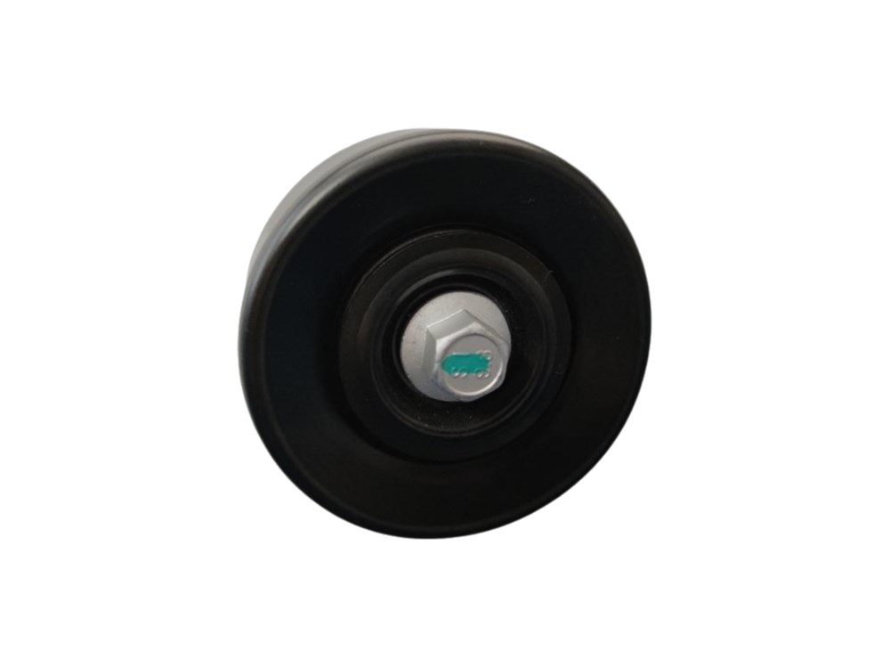 DS020310 Idler Pulley