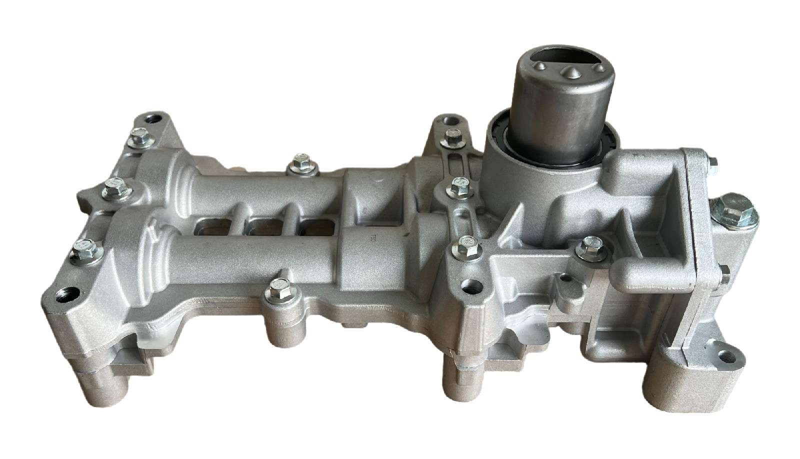 DS110236 12410MA00C 12410EA010 12410MA00A 12410-MA00D High Pressure Oil Pump