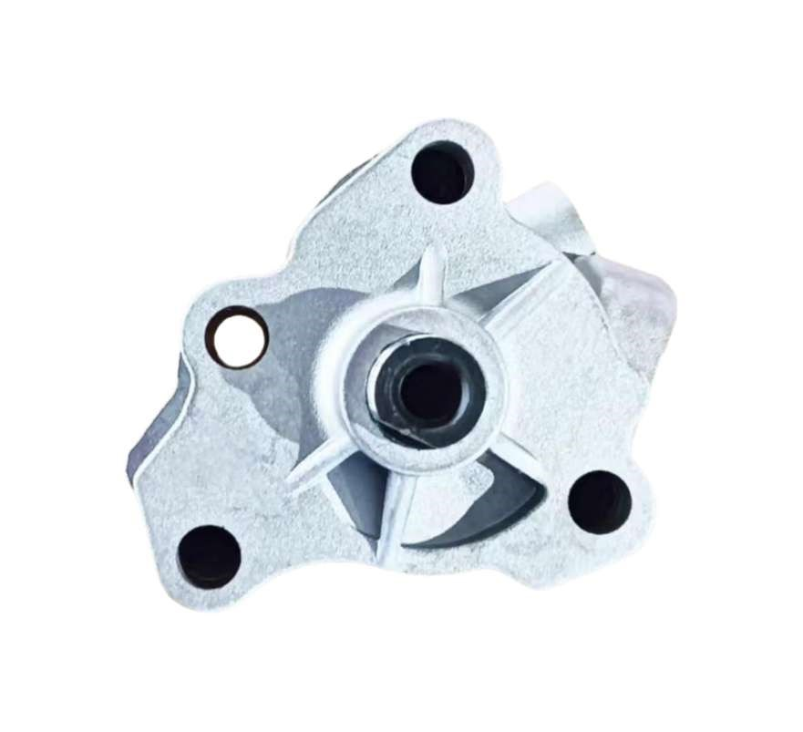 DS110641-B FORD  Oil Pump