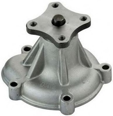 DS061013 N100 21010-01M01   Water Pump