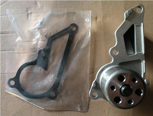 DS061828-B Water Pump