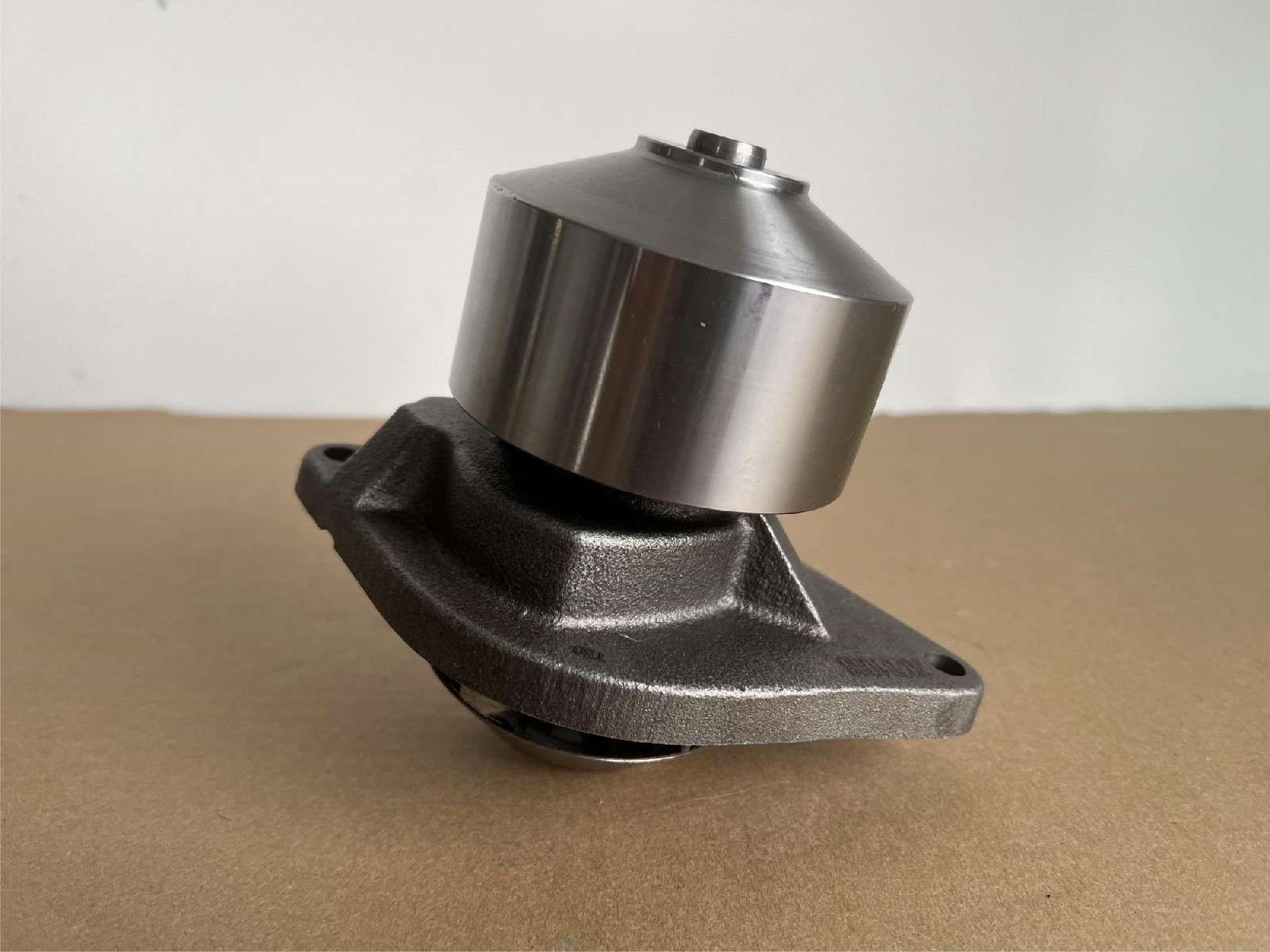 DS060699-Z12B RAM  Water Pump
