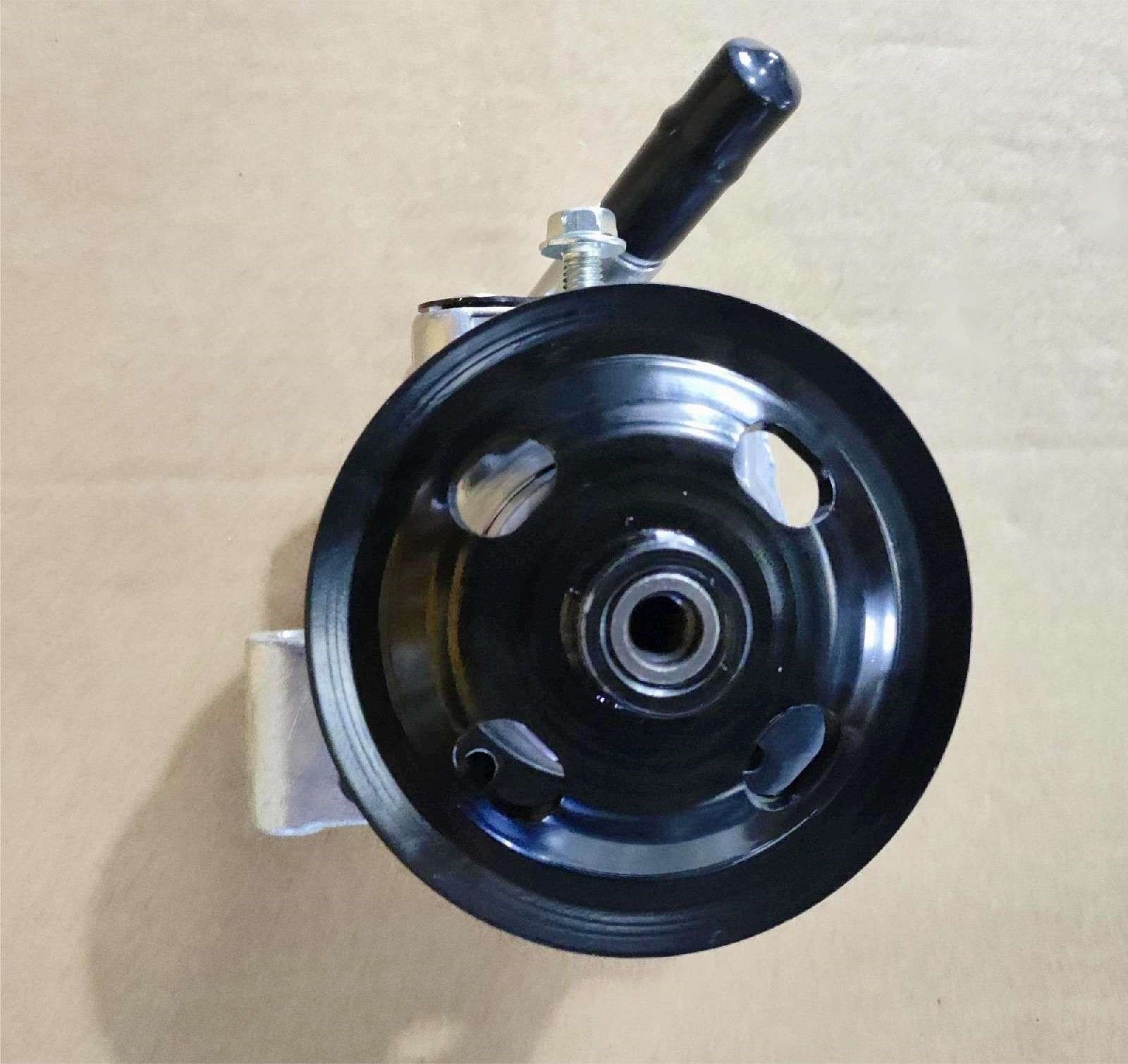 DS130901 Power Steering Pump